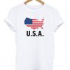 Independence Day USA T-Shirt