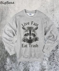 Life Fast Eat Trash Raccoon Sweatshirt