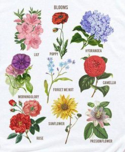 Blooms Botanical Flower Floral Chart T-Shirt