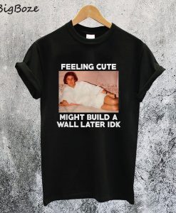 Feeling Cute Might Build The Wall Later IDK T-Shirt