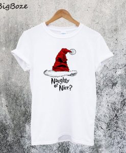 Hat Harry Potter Christmas T-Shirt